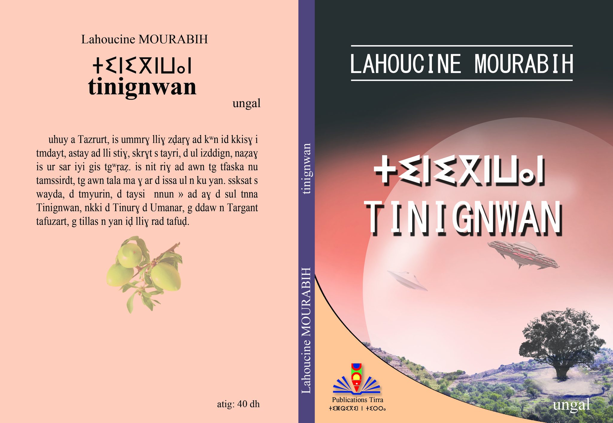Lire la suite à propos de l’article Tinignwan – Lahoucine Mourabih